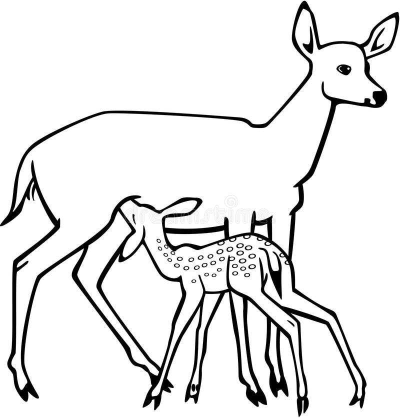 My Image 7