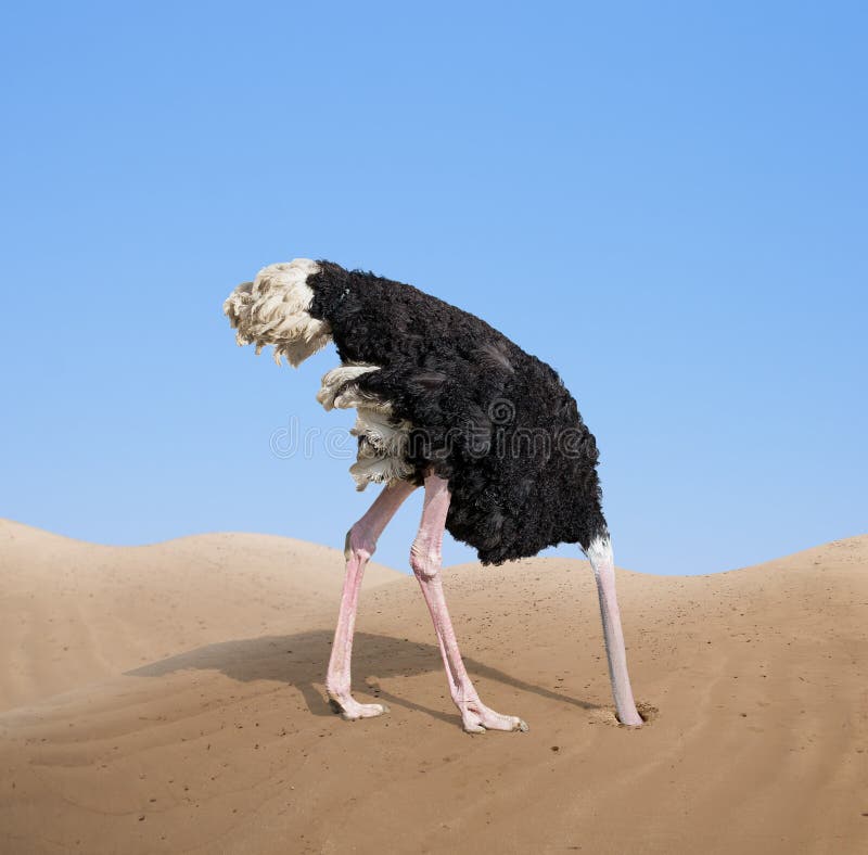 Doen schrikken struisvogel die zijn hoofd in zand begraven
