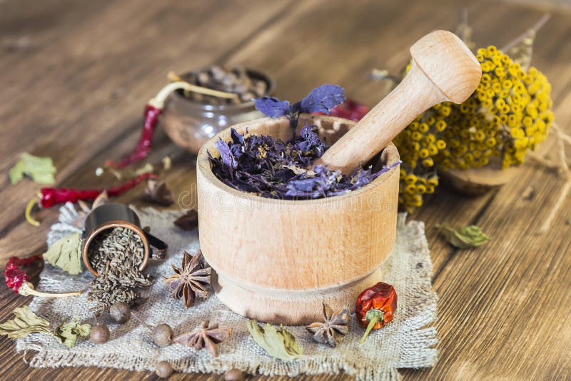 Doftande torkade läka örter för terapi och kryddiga kryddor På tabellen i en mortellilabasilika tansy, peppar, chili och arkivbild Doftande torkade läka örter för terapi och kryddiga kryddor På tabellen i en mortellilabasilika tansy, peppar, chili och arkivbild