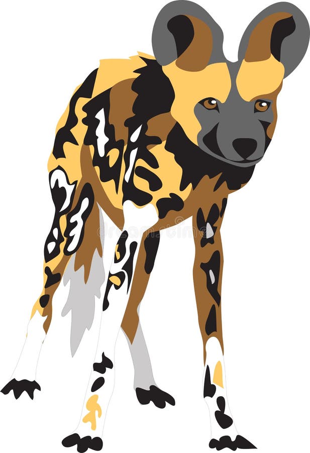 African Wild Dog Stock Illustrations – 1,612 African Wild Dog Stock  Illustrations, Vectors & Clipart - Dreamstime