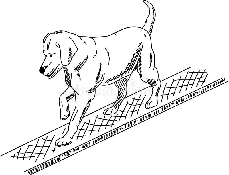 Dog Agility Stock Illustrations 1,113 Dog Agility Stock Illustrations