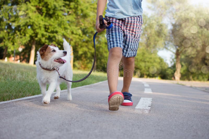 DOG ANG LITTLE CHILD WALKING AT THE PARK SUNSET. FRIENDSHIP AND OBEDIENCE CONCEPT