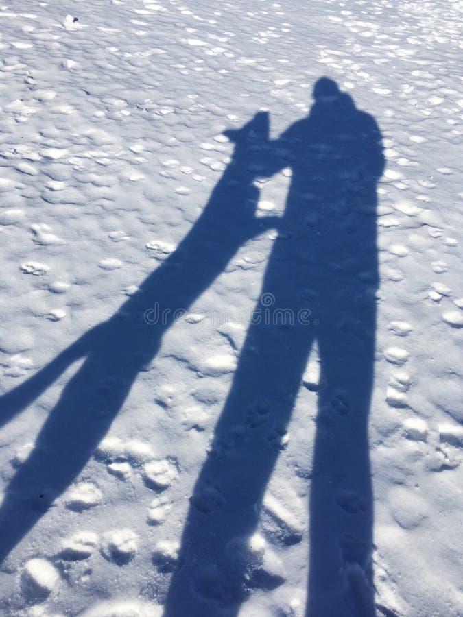Dog attacking man shadow on a snow