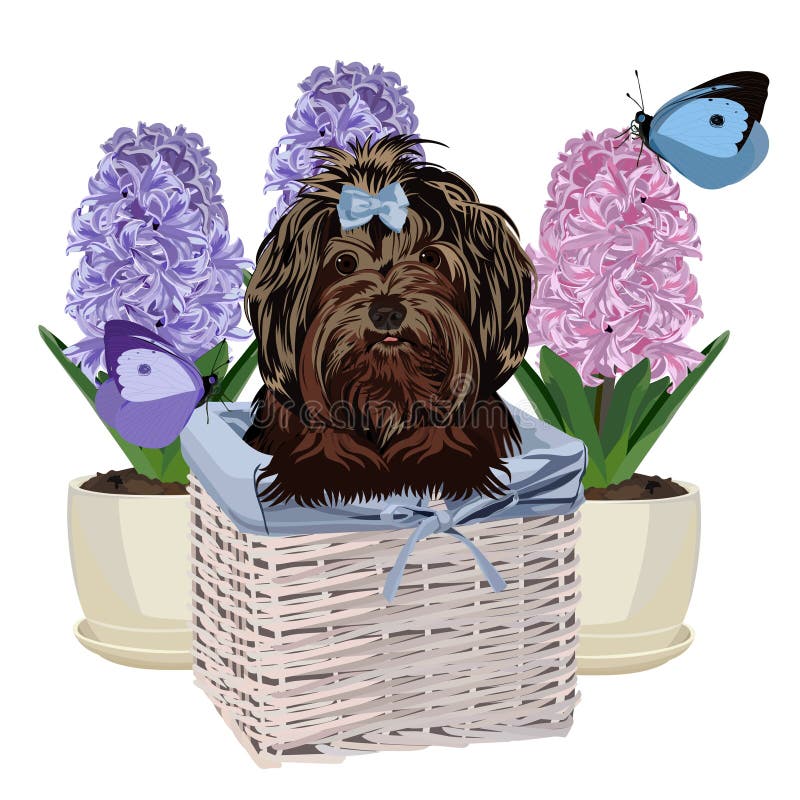 Dog in a Basket. Vector Illustration. Stock Photo Image of wicker