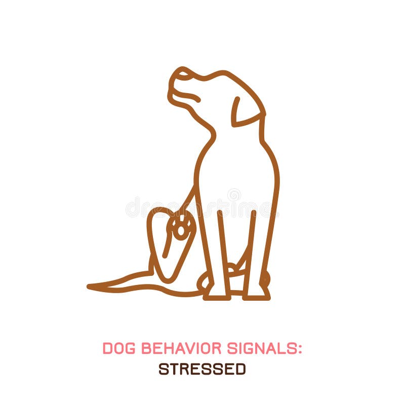 Dog behavior icon stock vector. Illustration of pictogram - 165512984