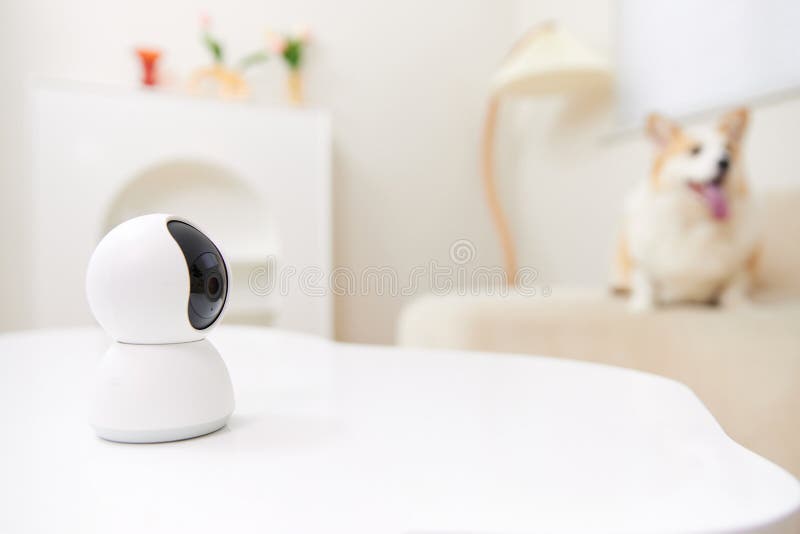 Use Smart Surveillance Device Pet Camera Stock Image Image of books