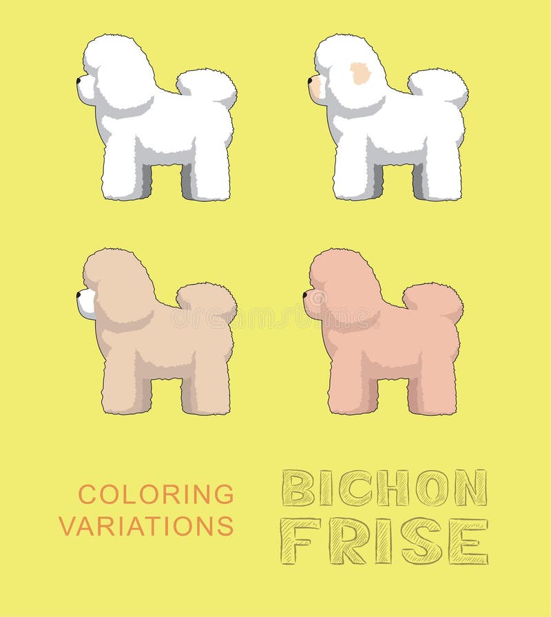 Dog Bichon Frise Coloring Variations Cartoon Vector Illustration Stock