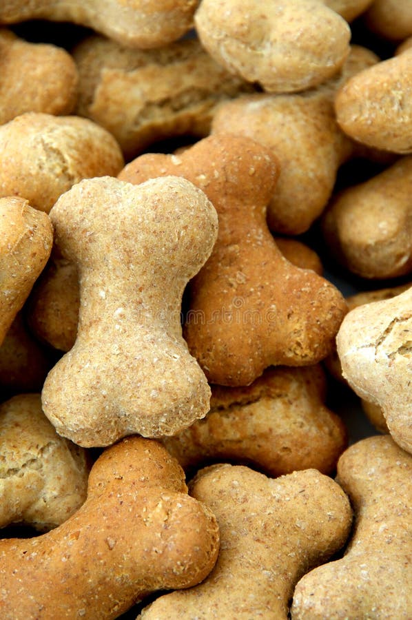 Dog Biscuits royalty free stock images