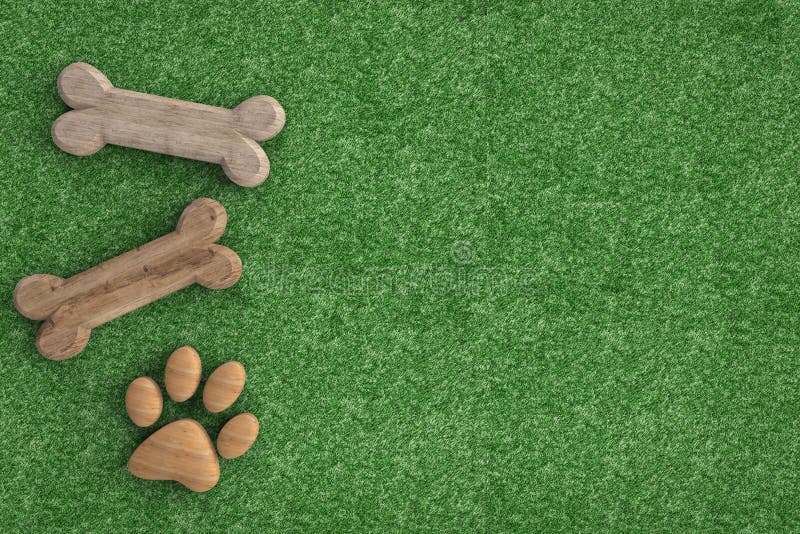 Dog bones on green grass background