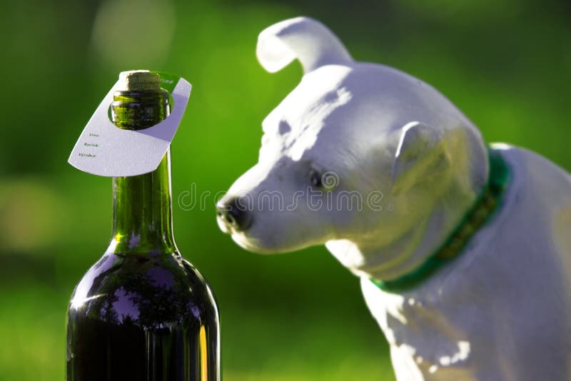 dog with bottle