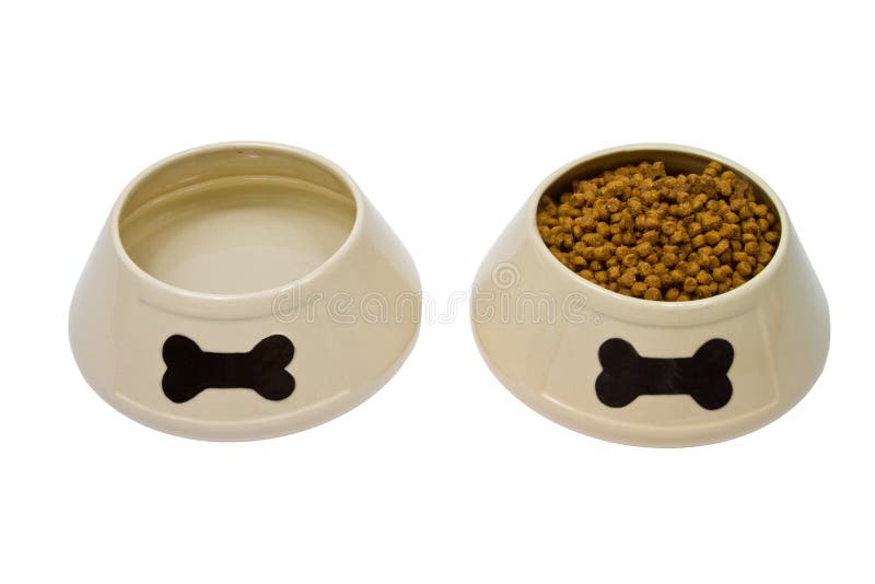 Dog bowls with food and water