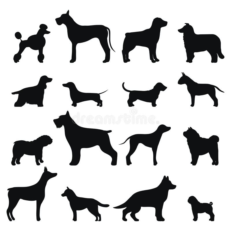 Dog breed vector black silhouette