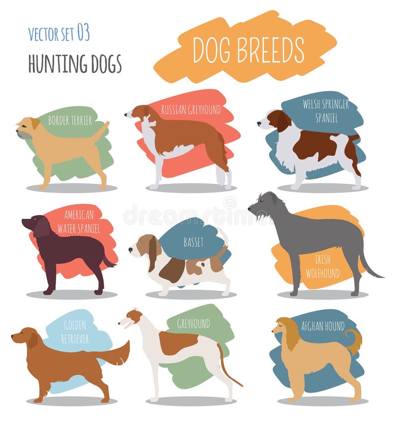 Popular dog breeds stock vector. Illustration of corgis - 27907734