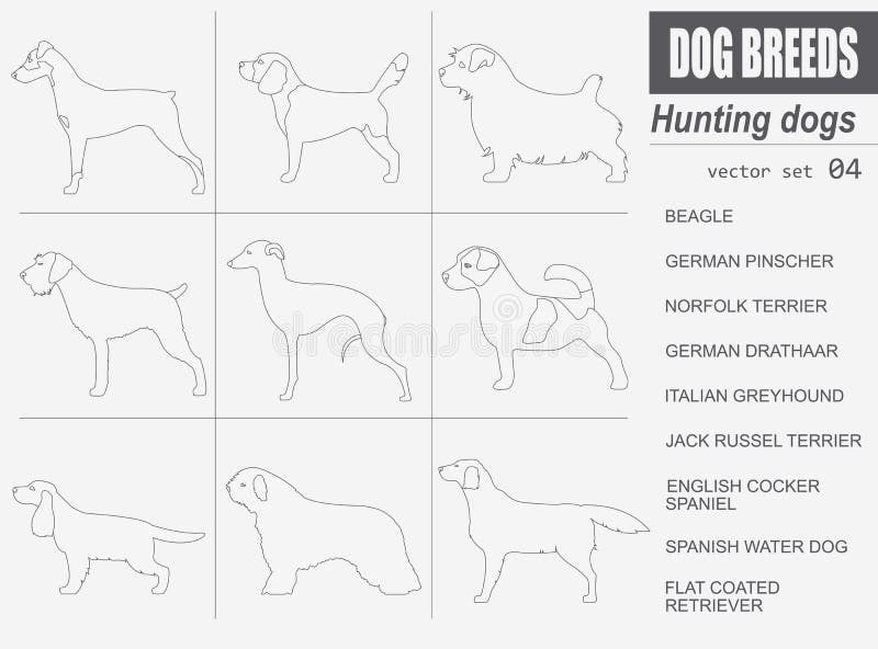 Dog breeds. Hunting dog set icon. Flat style royalty free illustration Dog breeds. Hunting dog set icon. Flat style royalty free illustration