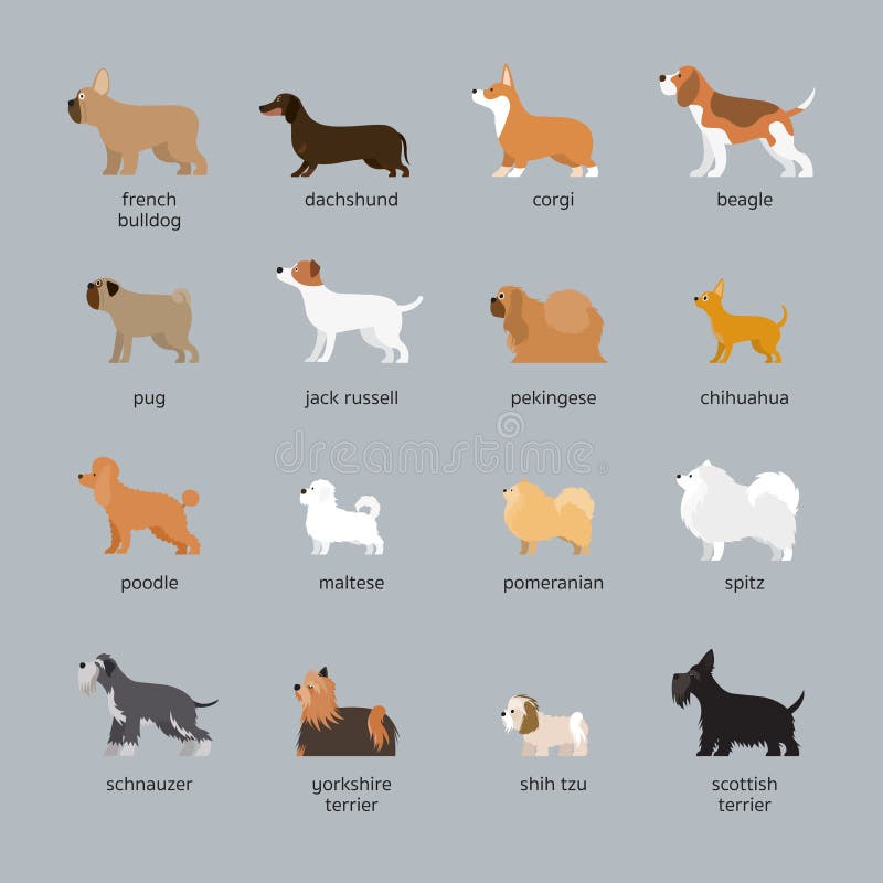 Small Dog Breeds Chart