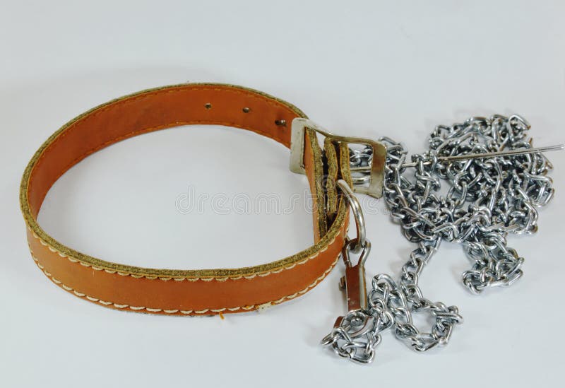 Dog Brown Leather Collar and Lead Chain Stock Photo Image of