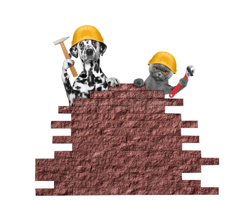 Cat Dog Work Stock Illustrations 1,314 Cat Dog Work Stock