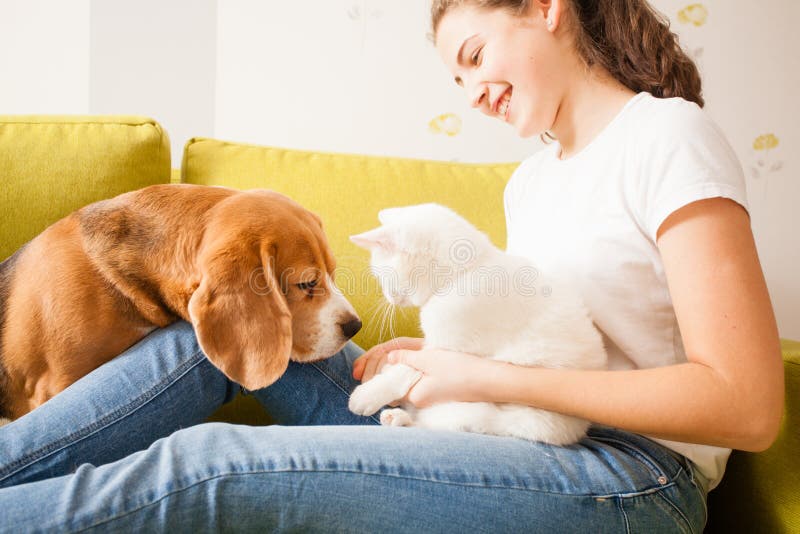 The Girl is Playing with Animals Stock Photo - Image of caress, flat:  113129738