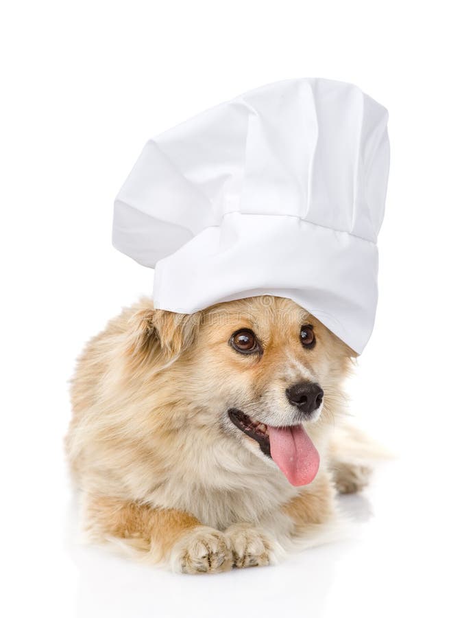 White chefs hat stock image. Image of baker, background 33382907