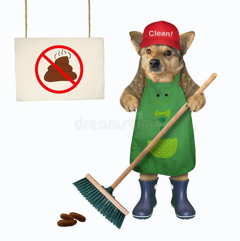 Dog Cleaning Up The Poop Stock Photo Image Of Park 160308442