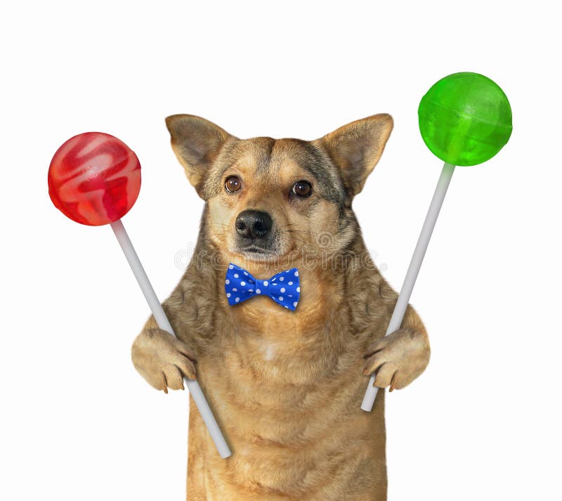 Dog and the Lollipop stock photo. Image of uniqe, focus 124402610