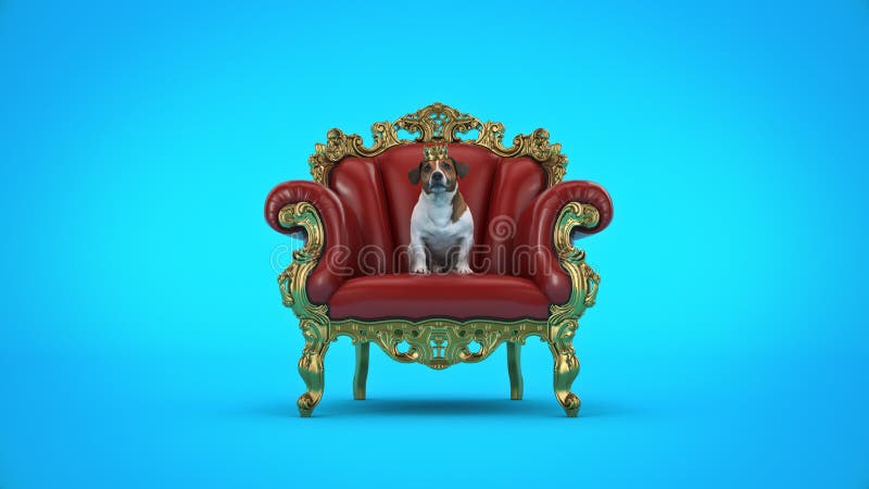 Dog with crown in a chair.