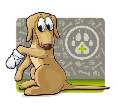 Bandage Dog Stock Illustrations – 1,280 Bandage Dog Stock Illustrations
