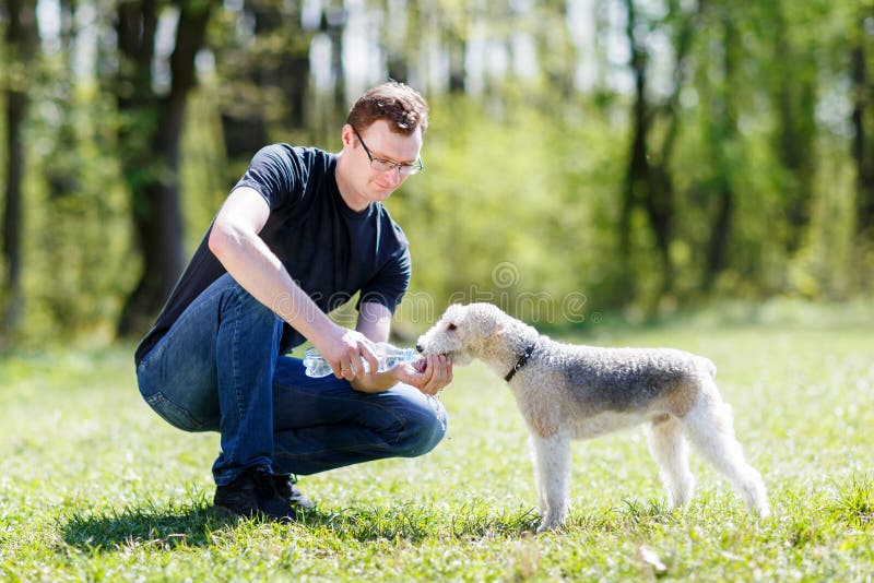 Dog drinking water from hands of men