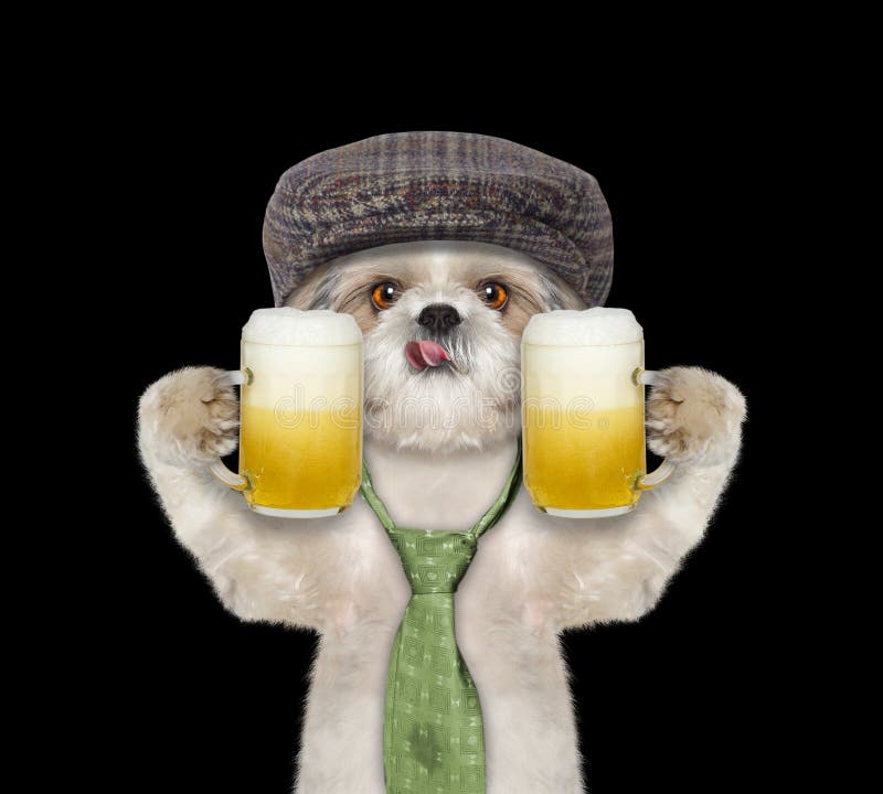 Animals Drinking Beer Stock Photos - Free & Royalty-Free Stock Photos from Dreamstime Animals Drinking Beer Stock Photos - Free & Royalty-Free Stock Photos from Dreamstime