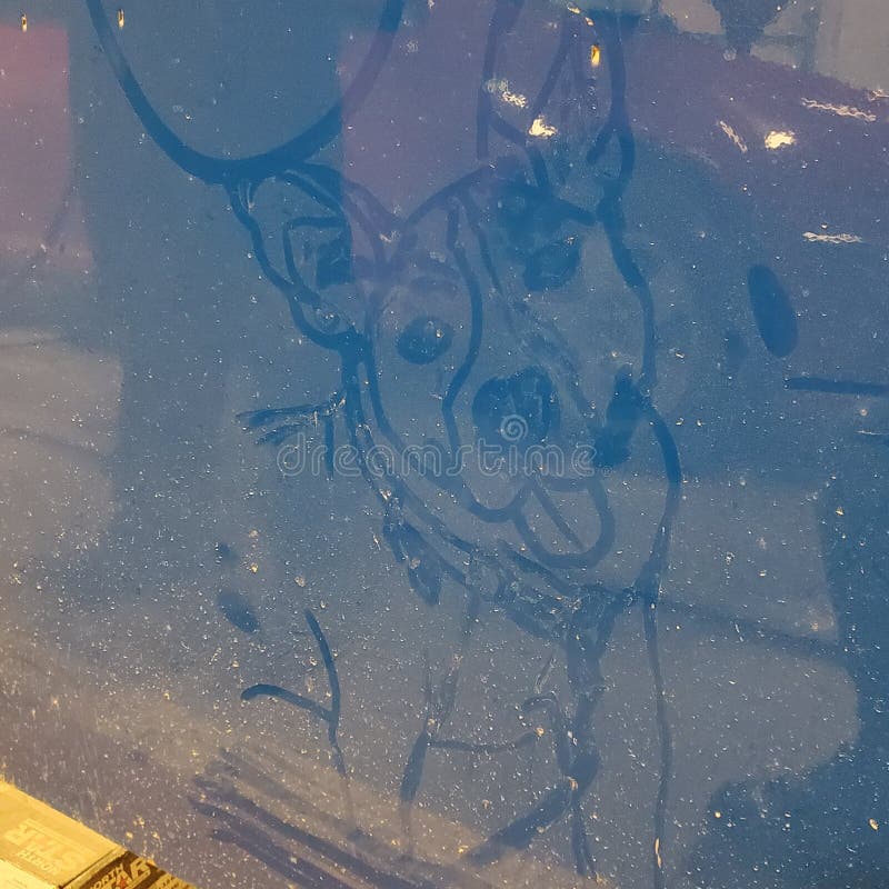 Dog dust art editorial photo. Image of dust, blue, reflection 178162781