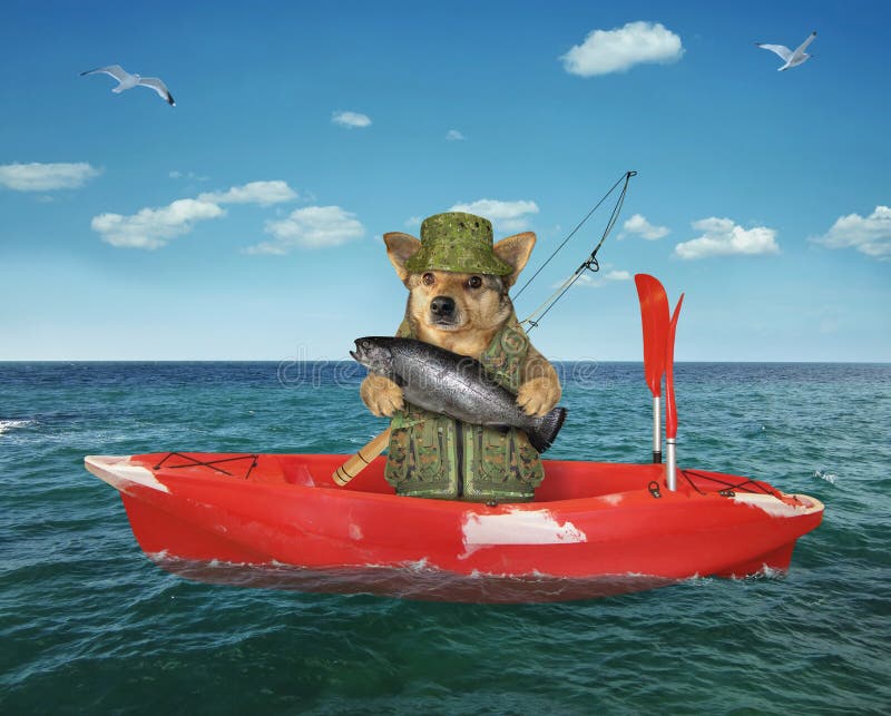 Dog fisher drifting in a red boat