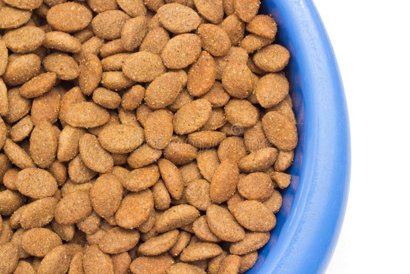 Dog Food stock image. Image of flavorless, bland, feed 23797987