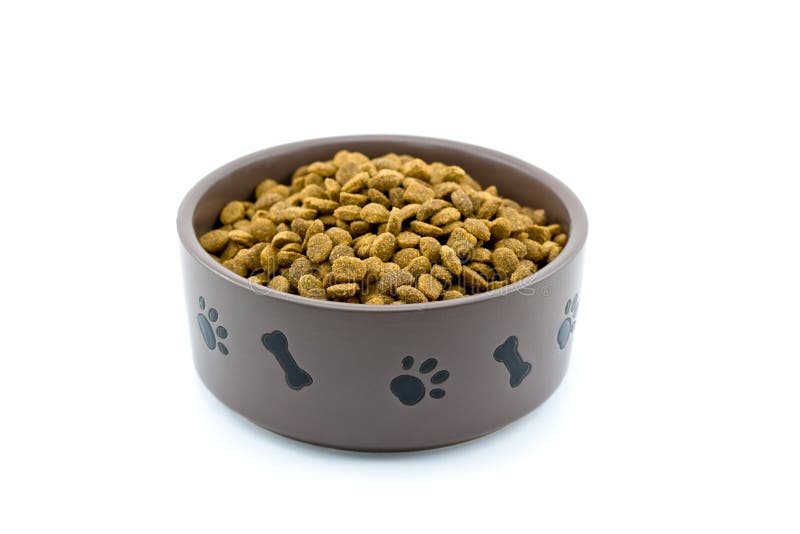 Dog Food Bowl stock photo. Image of crisp, doggy, crunchy 9887108