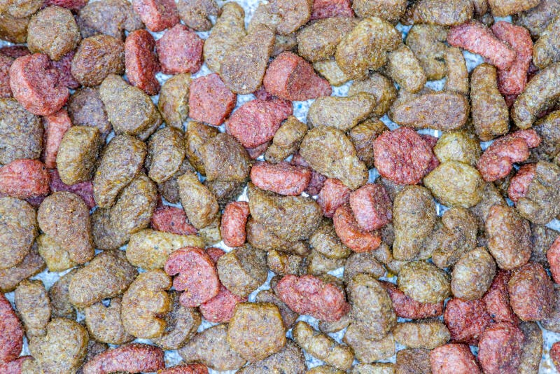 Pet Food, Wet Food for Cats, Dog Canned Pate, Soft Pet Food on White