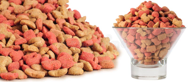 Dog food stock photo. Image of intelligent, dogs, canine 12383402