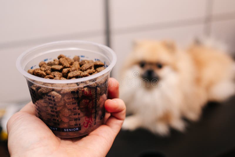 Dog Food in a Measuring Tank on the Background of the Dog Stock