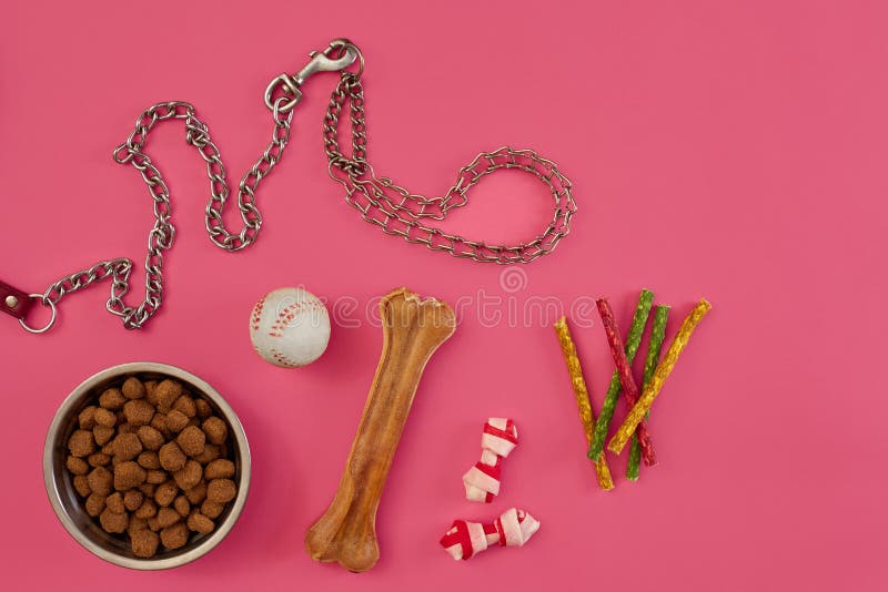 Dog Food In Metallic Bowl And Accessories On White Background Stock Photo Image Of Dish Domestic 104489934