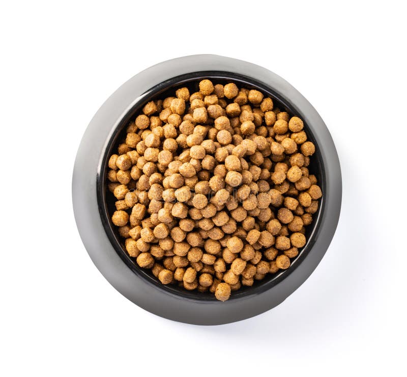 Dog Food Plate Isolated on White Stock Photo Image of food, canine 143012028