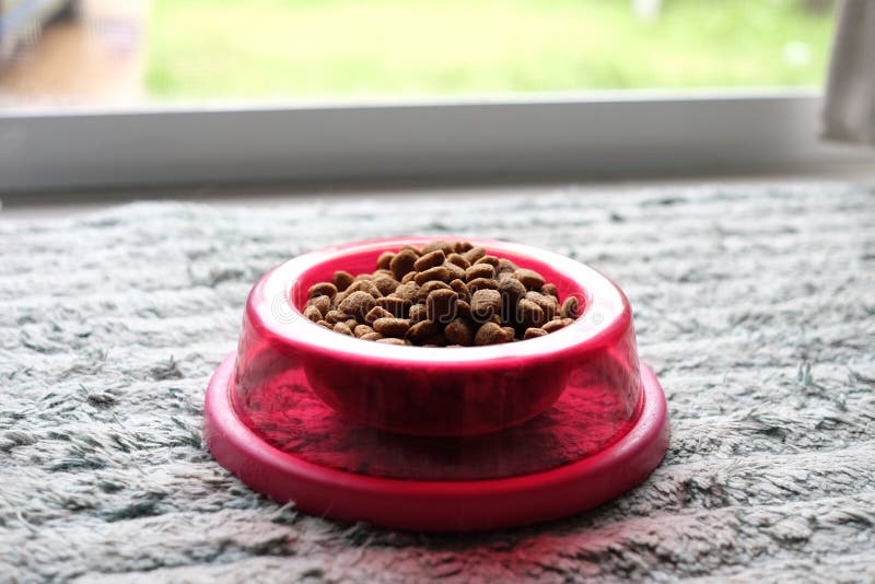 Dog food seed red animal stock photo. Image of seed 151498912