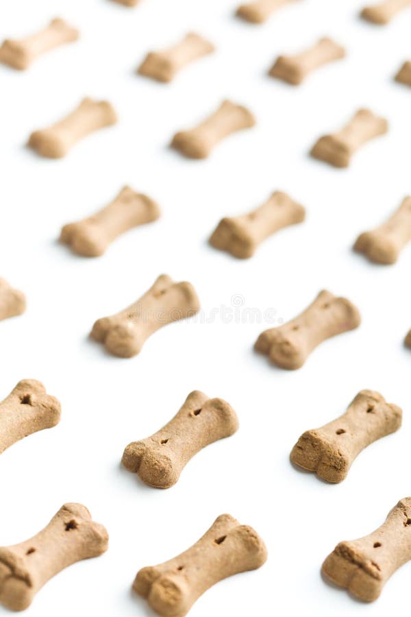 Dog Food Shaped Like Bones. Stock Photo Image of healthy, kibble