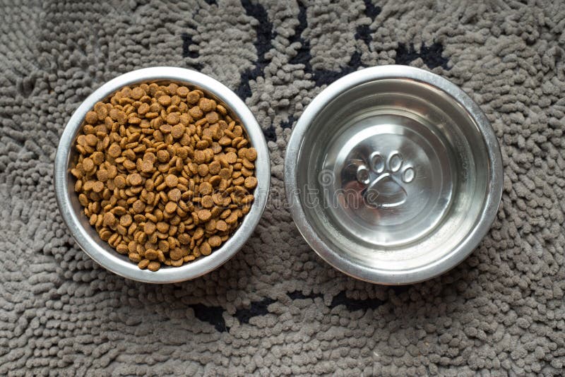 Dog food and water bowls