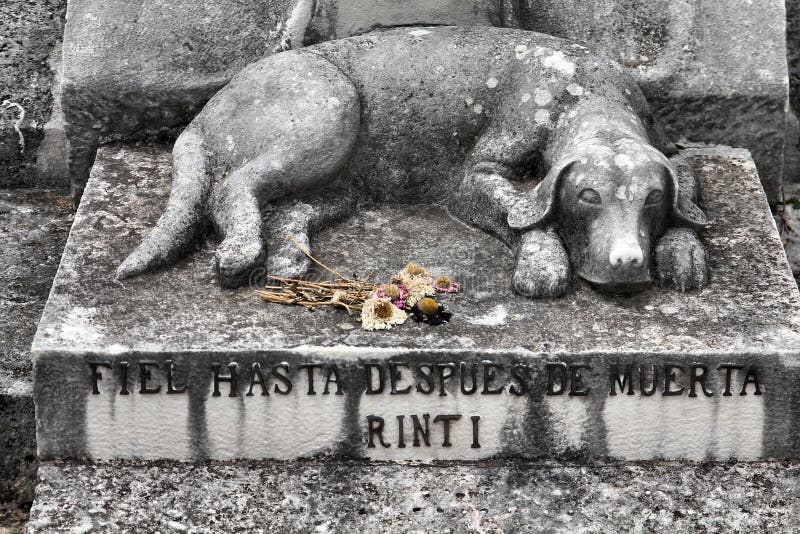 dog-grave-20799704.jpg