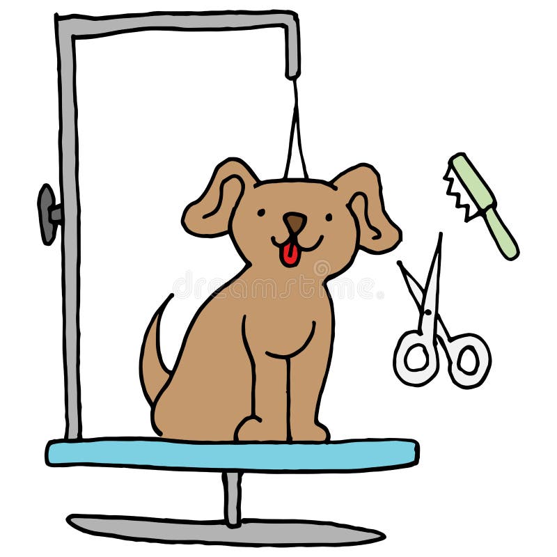 Dog Grooming Cartoon Stock Illustrations – 3,709 Dog Grooming Cartoon Stock  Illustrations, Vectors & Clipart - Dreamstime