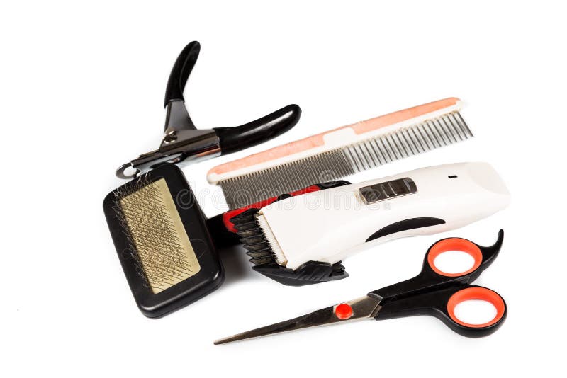 Dog Grooming Tools and Accessories Set Stock Image Image of hygiene