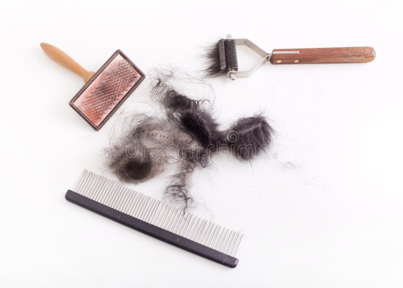 Dog grooming tools royalty free stock photography Dog grooming tools royalty free stock photography