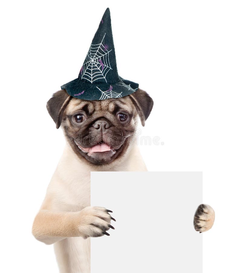 Cat and Dog with Hats for Halloween Looking Out because of the Poster