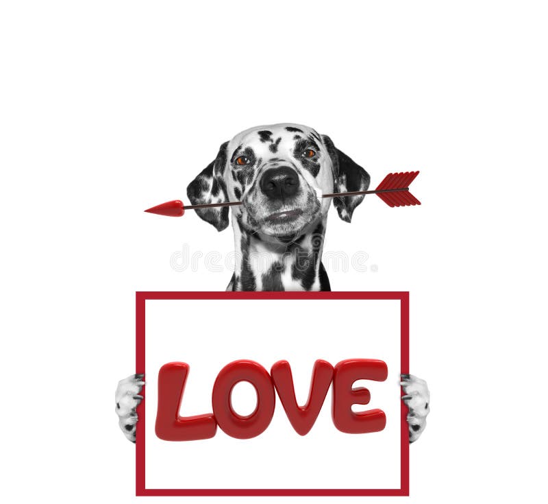 Dog Holding Dart and Frame with Love Stock Image Image of beautiful, white 83505517