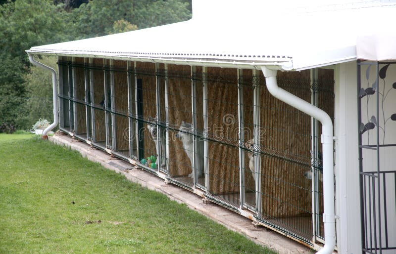 Dog hotel, with pool, individual aviaries. Kedainiu district Lithuania 07 26 2017