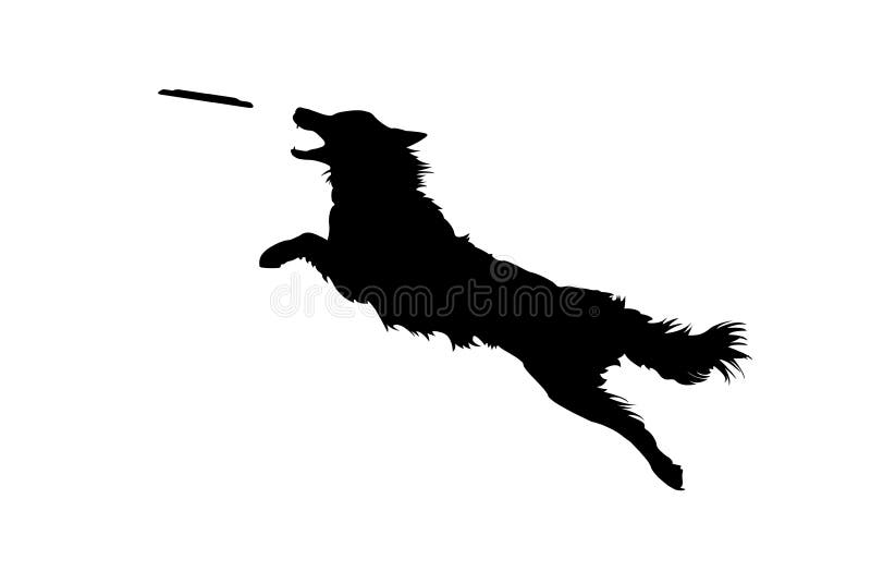 Dog Jumping and Catching Disc
