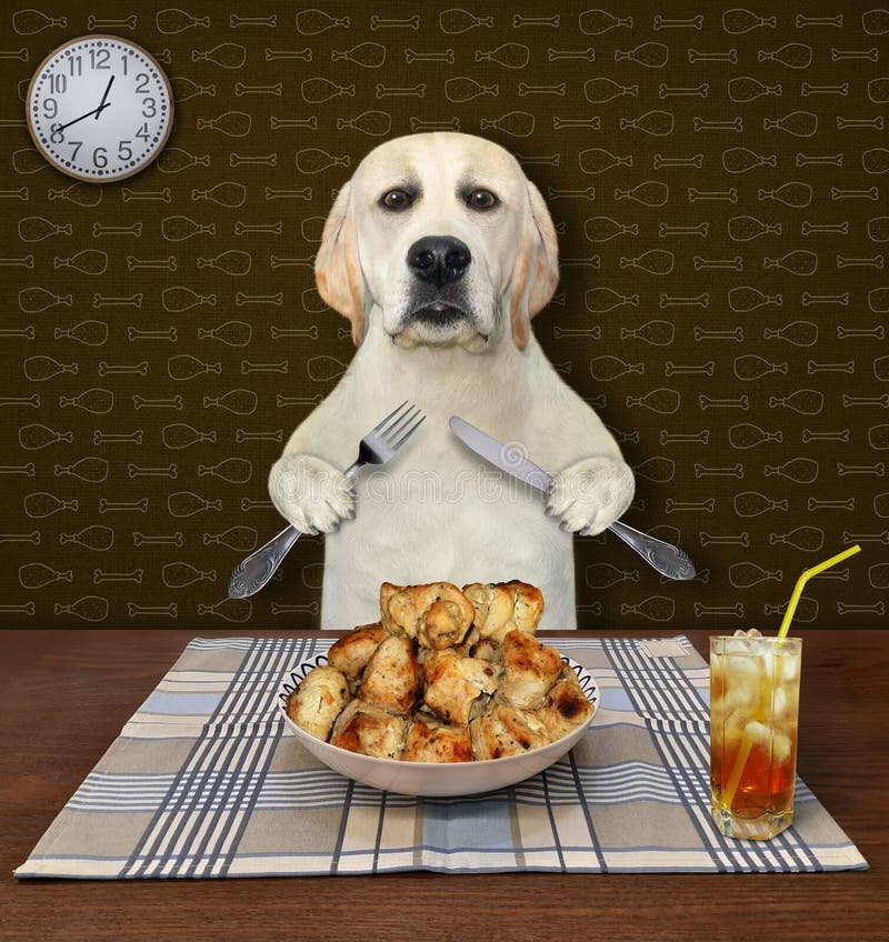 270 Dog Eats Table Stock Photos Free & RoyaltyFree Stock Photos from